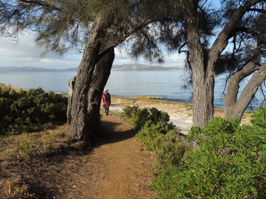 Costal Walk in South Arm